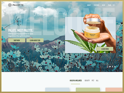 PALETTE Homepage Design beauty bright cannabis cbd ecommerce health homepage luxury brand pastel ui design web web design website xd
