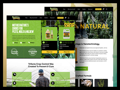 Trifecta agriculture bright cannabis ui web webdesign website