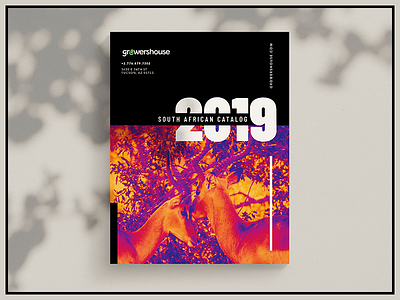 GrowersHouse 2019 Catalogue africa book catalogue design layout