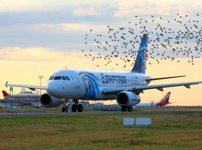 change travel date egyptair