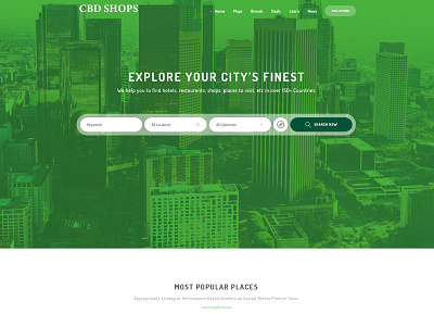 CBD Shops branding design user friendly