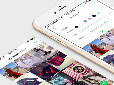 Fashion Closet UI / iOS closet fashion gallery interface ios ui user