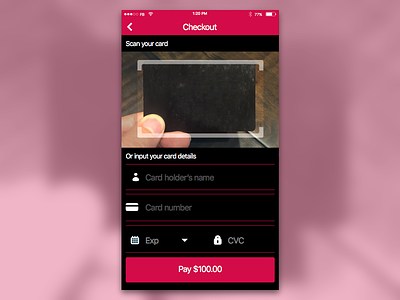 Daily UI #2: Credit Card Checkout card checkout credit daily ui dailyui sketch
