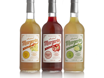 Williams-Sonoma Margarita Mixers