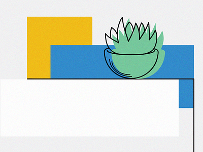 succulent/Cactus cactus design graphics motion vector