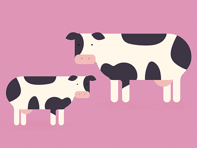 Moo!! 2d adobe aftereffects animation character cows farm graphicdesign illustration minimal motiondesign