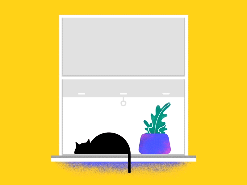The cat in the window adobe cat design graphicdesign minimalism motiondesign motiongraphics ui ux