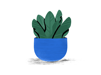 planter pt.1 aftereffects animation design graphicdesign illustration minimal motiondesign planter plants rocks ui women