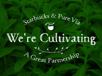 Starbucks & Pure Via branding food foodservice logo presentation pure via starbucks sweetener