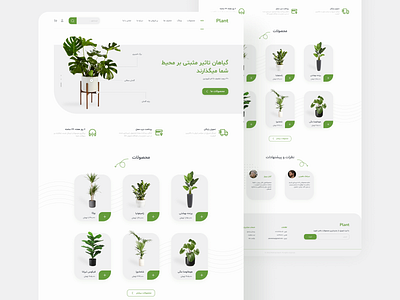 Website design • Plant shop appdesign dailyui design designer onlineshop plantapp plantshop plantwebdesign ui uiapp uidesigner uiux uiuxdesigner uiweb uxui web webdesign webdesignshop webplant website