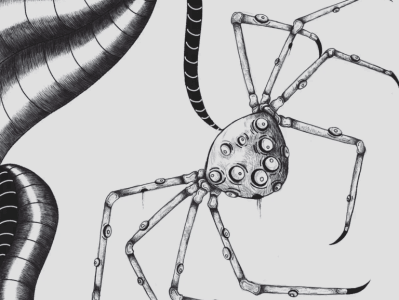 Spider-Web abstract art art drawing illustration personal art spider art