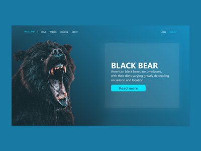 black bear landing page desaign interface landingpage ui uidesaign uidesign ux uxdesaign uxui web webdesign