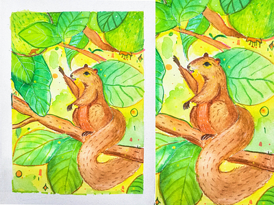 কমলাপেটি কাঠবিড়ালি | Orange Bellied Squirrel bangladesh character design childrens illustration illustration kazi nazrul islam nazrul squirrel watercolor watercolor illustration