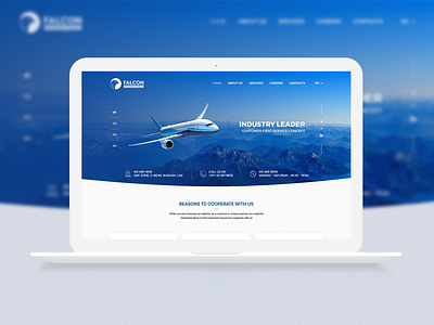 Falcon International - Website design azerbaijan baku design falcon ui ux website
