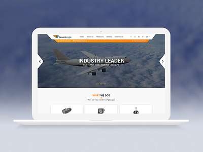 Deserteagle - Website design desert design eagle ui ux website