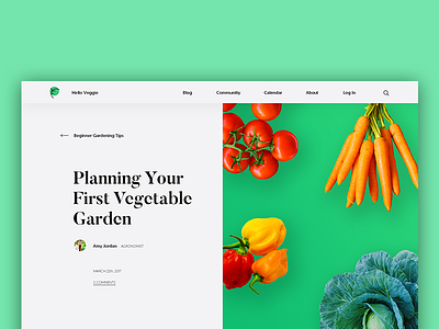 Hello Veggie Blog blog post ui vegetables veggie web