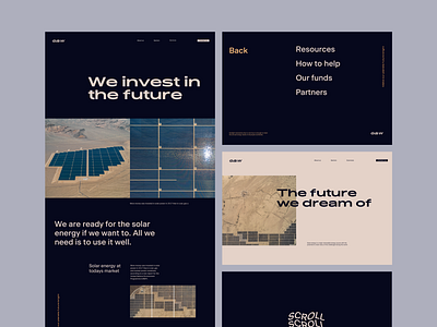 Solar Energy Investment Company art direction design layout page typography ui web website