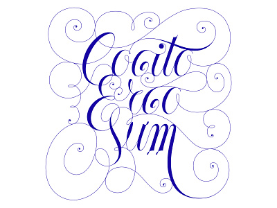 Cogito Ergo Sum lettering typography