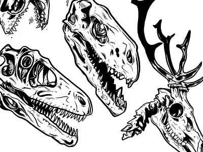 Skull Inks anatomy art artwork branding comic contemporary design digital art dinosaurs drawing graphic illustration inking lineart skulls