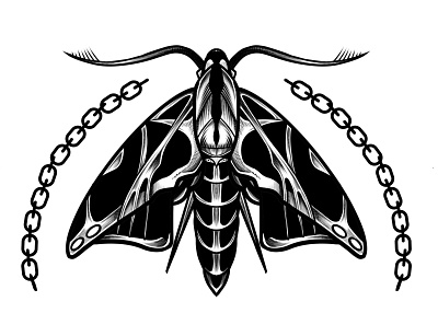 Chain Moth artwork blackwork dark art design drawing illustration moth poster print tattoo art tattoo flash visual art