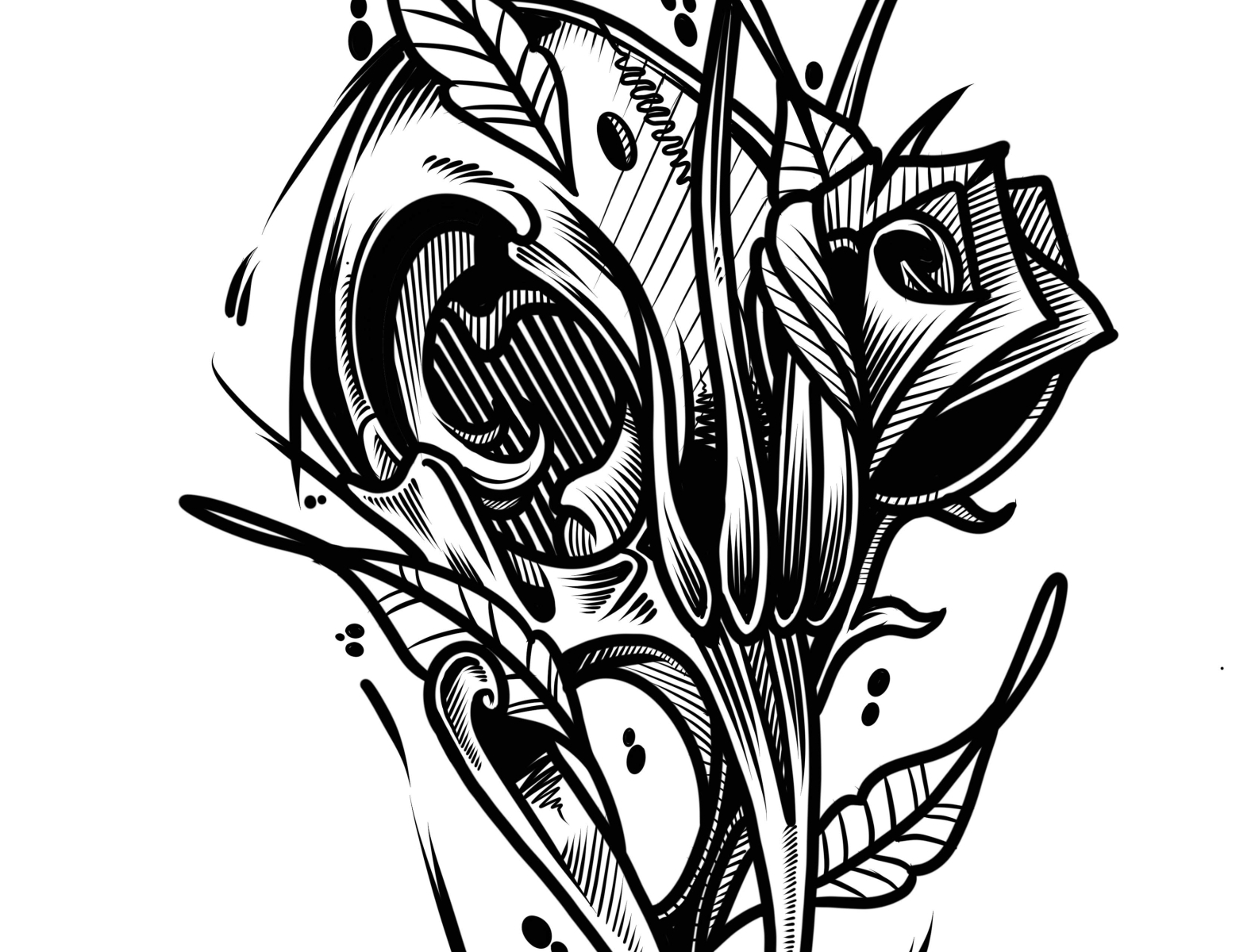 Bird Skull & Rose by Scott Connick on Dribbble