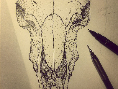 Ram skull anatomy dots illustration ram realistic skull
