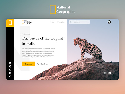 National Geography Hero Section Design animal branding design figma free design hero section national geograpgy net geo redesign ui web design