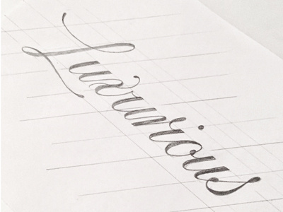 Luxurious Lettering calligraphy copperplate drawing hand lettering lettering script sketch