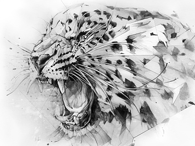 Derwent Leopard derwent drawing illustration pencil
