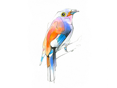 Aves art bird color copicmarkers drawing markers pencil