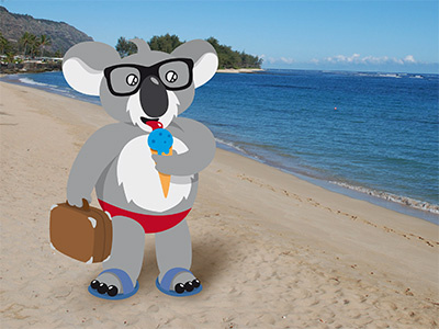 Koala on holiday