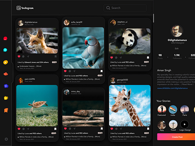 Instagram Redesign Web UI