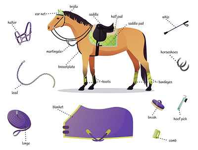 Horse tack and equipment bridle equipment equistrain horse illustration pad saddle tack vector