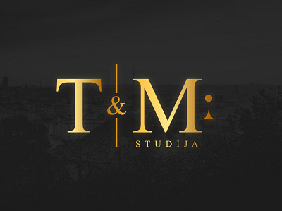 T&M Studija logo design branding design graphic design logo vector