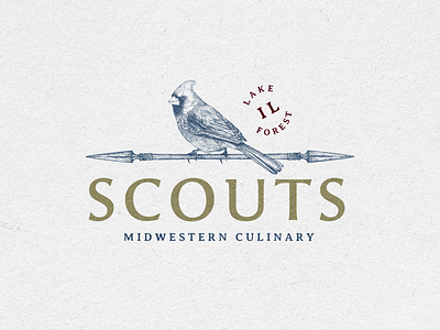 Scouts arrow branding hand drawn logo print prints restaurant vector vintage