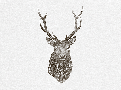 Deer illustration deer fresco hand drawn illustration print vector vintage