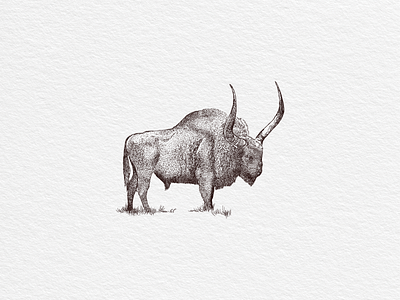 Bison bison fresco hand drawn illustration print vector vintage