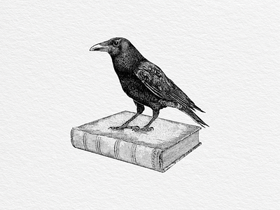 Raven book hand drawn historical illustration old print raven vintage