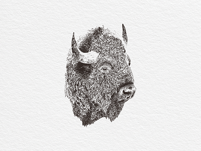 Buffalo