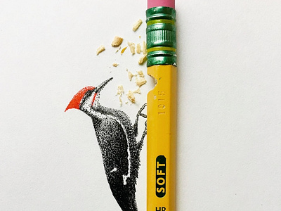 Pencilpecker