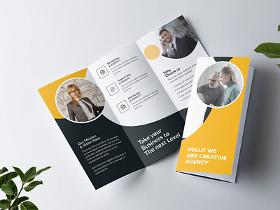 Tri-Fold Brochure