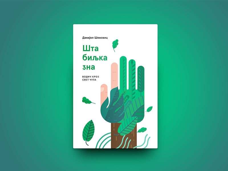 What A Plant Knows tree illustration contest book cover
