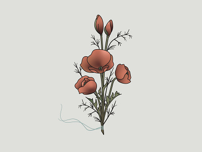 Poppy Bouquet Illustration