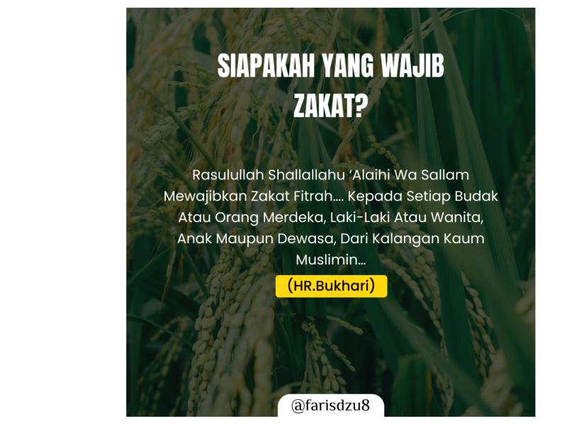 Siapa Yang Wajib Zakat Faris Dzu by IRISZ on Dribbble