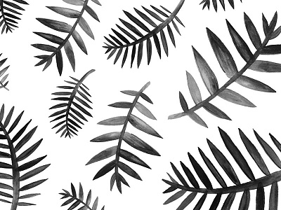 no.009 black illustration ink nature palm palms pattern plant plants watercolor white