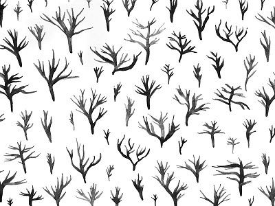 no.016 black branch coral ink monochromatic nature neutrals pattern plant stick tree white