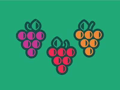 grape bold color fruit grape grapes green icon illustraion outline purple red texture