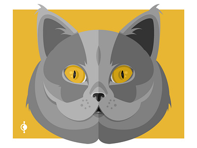 Cat: British Shorthair cat catlover graphic design illustration