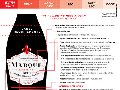 All About Champagne Infographic champagne design france graphic illustration info infographic