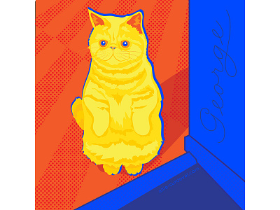 George 2 legs Illustration cats graphic illustration